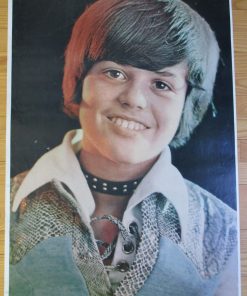 OSMOND, Donny Vintage Poster 1972 Original 35" x 23"