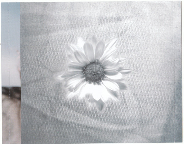 Trio Lorraine Desmarais - Love (CD, Album) (Near Mint (NM or M-)) - Image 3