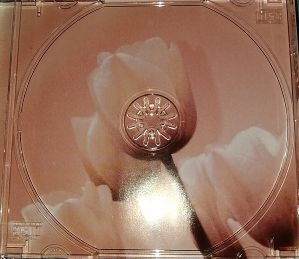 The Dreamsound Orchestra - The Dreamsound Orchestra Plays The Hits Made Famous By Celine Dion (CD, Album) (Near Mint (NM or M-)) - Image 5