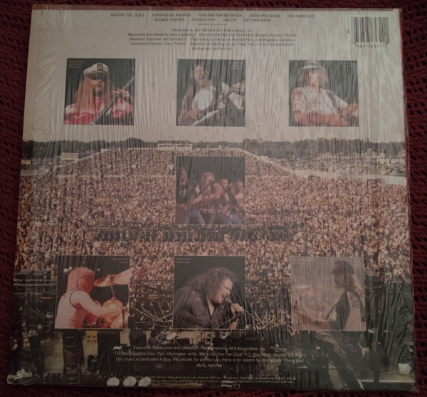 Molly Hatchet - Beatin' The Odds (LP, Album, RE) (Mint (M)) - Image 2