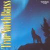 True North Brass - True North Brass (CD, Album) (Near Mint (NM or M-))