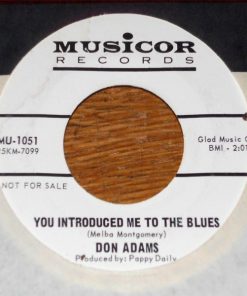 Alternative view of Don Adams (4) - I Just Lost My Favorite Girl / You Introduced Me To The Blues (7", Promo) (Very Good Plus (VG+))