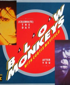 The Blow Monkeys with Curtis Mayfield - (Celebrate) The Day After You (12") (Mint (M))