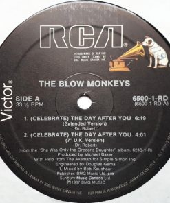 The Blow Monkeys with Curtis Mayfield - (Celebrate) The Day After You (12") (Mint (M)) - Image 3