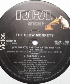 The Blow Monkeys with Curtis Mayfield - (Celebrate) The Day After You (12") (Mint (M)) - Image 4