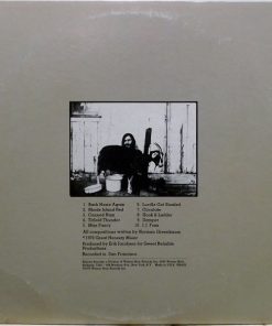 Alternative view of Norman Greenbaum - Back Home Again (LP, Album, Ter) (Mint (M))