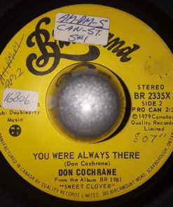 Alternative view of Don Cochrane (2) - The Eagle (Bobby's Song) (7", Single) (Very Good Plus (VG+))