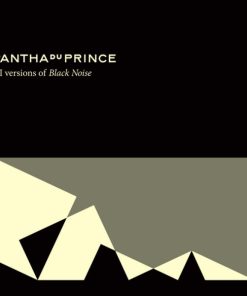 Pantha Du Prince - XI Versions Of Black Noise (CD, Comp) (Near Mint (NM or M-))