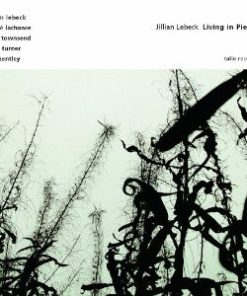 Jillian Lebeck - Living In Pieces (CD, Album) (Near Mint (NM or M-))