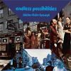 Walter Raim Concept - Endless Possibilities (LP) (Mint (M))