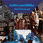 Walter Raim Concept - Endless Possibilities (LP) (Mint (M))