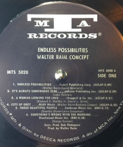Alternative view of Walter Raim Concept - Endless Possibilities (LP) (Mint (M))