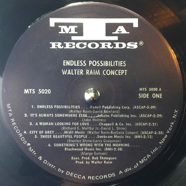 Walter Raim Concept - Endless Possibilities (LP) (Mint (M)) - Image 2