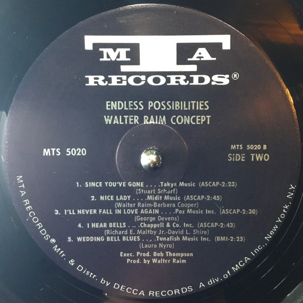 Walter Raim Concept - Endless Possibilities (LP) (Mint (M)) - Image 3