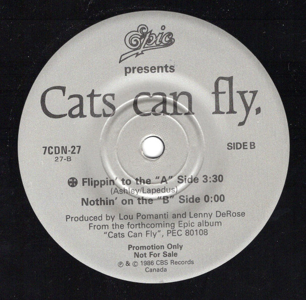 Cats Can Fly - Cold Hands, Warm Heart (2x7", Promo) (Near Mint (NM or M-))
