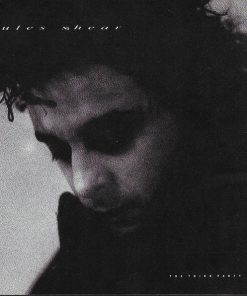 Jules Shear - The Third Party (LP, Album) (Mint (M))