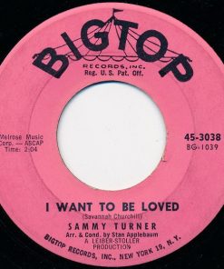 Alternative view of Sammy Turner - Goodnight, Irene (7", Single) (Very Good Plus (VG+))