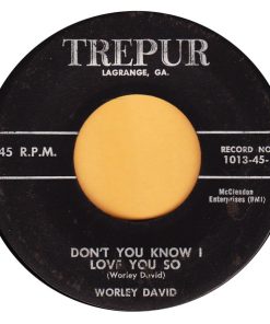 Worley David - Don't You Know I Love You So / The Day I Heard You Say Goodbye (7") (Very Good Plus (VG+))