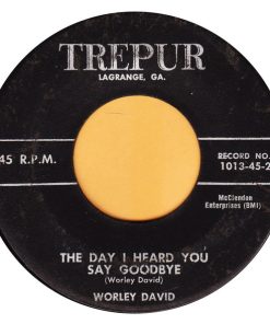 Alternative view of Worley David - Don't You Know I Love You So / The Day I Heard You Say Goodbye (7") (Very Good Plus (VG+))