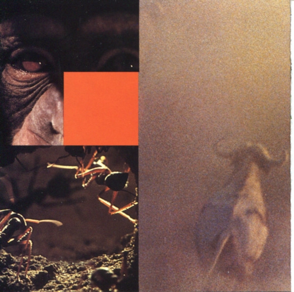 Philip Glass - Anima Mundi (Original Soundtrack Recording) (CD) (Near Mint (NM or M-)) - Image 5