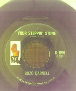 Bozo Darnell - Your Steppin' Stone / Fool The World (7") (Very Good (VG))