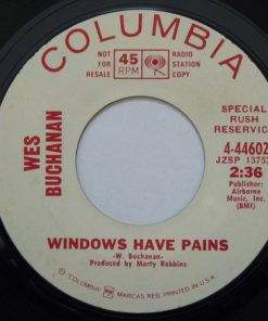 Wes Buchanan - Windows Have Pains (7", Single, Promo, Styrene) (Very Good Plus (VG+))