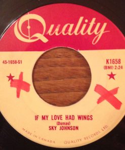 Sky Johnson - If My Love Had Wings / A Wound Time Can't Erase (7", Single) (Very Good Plus (VG+))