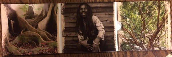Rocky Dawuni - Branches Of The Same Tree (CD, Album, Gat) (Near Mint (NM or M-)) - Image 3