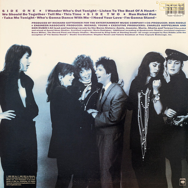 The Burns Sisters Band - The Burns Sisters Band (LP, Album) (Mint (M)) - Image 2