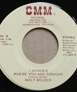 Alternative view of Walt Wilder - Drinkin' Beer, Chasin' Women, Dodgen' Wives (7", Single) (Very Good Plus (VG+))