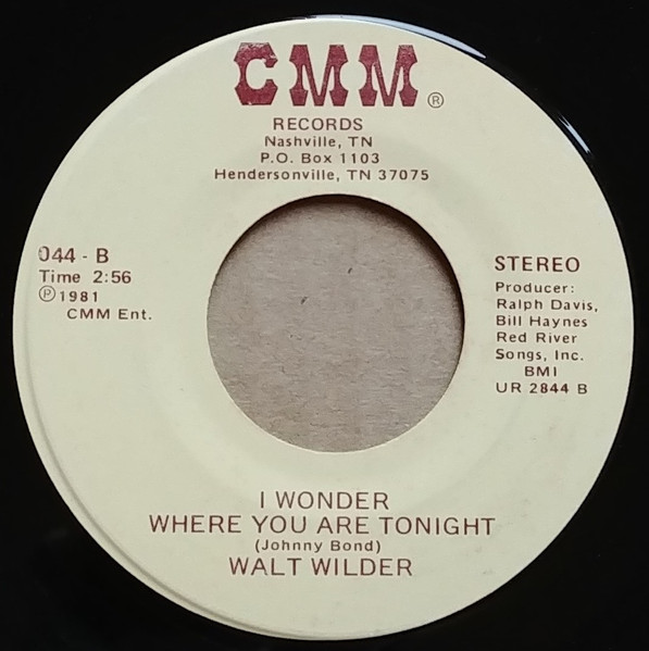Walt Wilder - Drinkin' Beer, Chasin' Women, Dodgen' Wives (7", Single) (Very Good Plus (VG+)) - Image 2