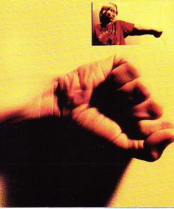 Kip Hanrahan - A Thousand Nights And A Night - (Shadow Nights 2) (CD, Album) (Near Mint (NM or M-))