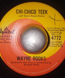Alternative view of Wayne Rooks - Where Does The Clown Go? / Chi-Chico Teek (7", Single) (Very Good Plus (VG+))