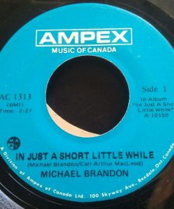 Michael Brandon (3) - In Just A Short Little While (7", Single) (Very Good Plus (VG+))