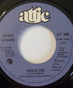 Greg Adams (5) - Hold On (7", Single) (Very Good Plus (VG+))