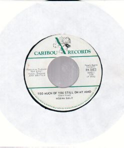Norma Gale - Too Much Of You Still On My Mind (7") (Very Good (VG))