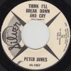 Peter James (28) - Think I'll Break Down And Cry (7", Single) (Very Good Plus (VG+))