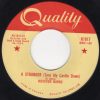 Houston Barks - A Stranger (Tore My Castle Down) (7") (Very Good Plus (VG+))