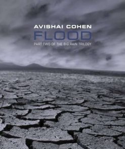 Avishai E. Cohen - Flood (Part Two Of The Big Rain Trilogy) (CD, Album) (Very Good Plus (VG+))