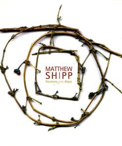 Matthew Shipp - Harmony And Abyss (CD, Album) (Near Mint (NM or M-))