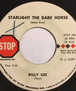 Billy Gee (4) - Starlight The Dark Horse (7", Single, Promo) (Very Good Plus (VG+))