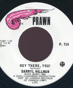 Alternative view of Darryl Hillman - Great White Father (7") (Very Good Plus (VG+))