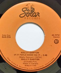 Wally Ganyon - If It Feels Good Do It / The Assassination Of Disco Duck (7", Single) (Very Good Plus (VG+))
