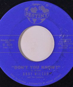 Andy Wilson (14) And The Leesures - Don't You Know / Baby Face (7", Single) (Very Good Plus (VG+))