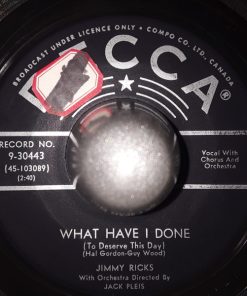 Alternative view of Jimmy Ricks (2) - Lazy Mule / What Have I Done (To Deserve This Day) (7") (Very Good Plus (VG+))