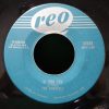 The Chantels - If You Try / Congratulations (7", Single) (Very Good Plus (VG+))