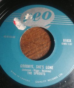 The Sprouts (2) - Teen Billy Baby / Goodbye, She's Gone (7", Single) (Very Good Plus (VG+))