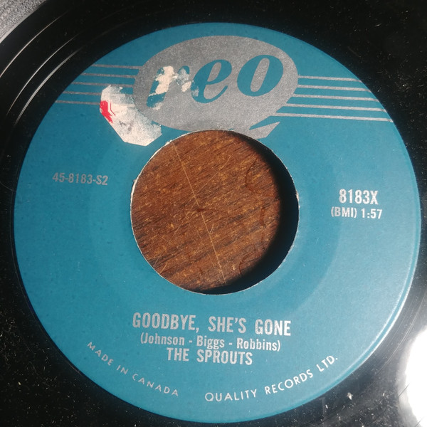 The Sprouts (2) - Teen Billy Baby / Goodbye, She's Gone (7", Single) (Very Good Plus (VG+))