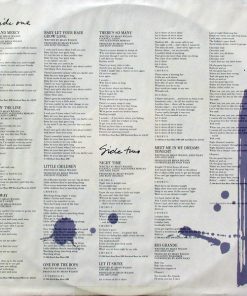 Brian Wilson - Brian Wilson (LP, Album, Spe) (Mint (M)) - Image 3