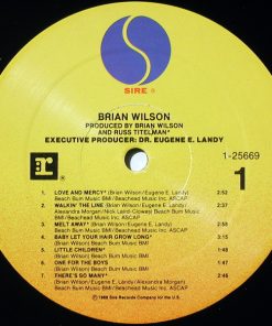 Brian Wilson - Brian Wilson (LP, Album, Spe) (Mint (M)) - Image 5